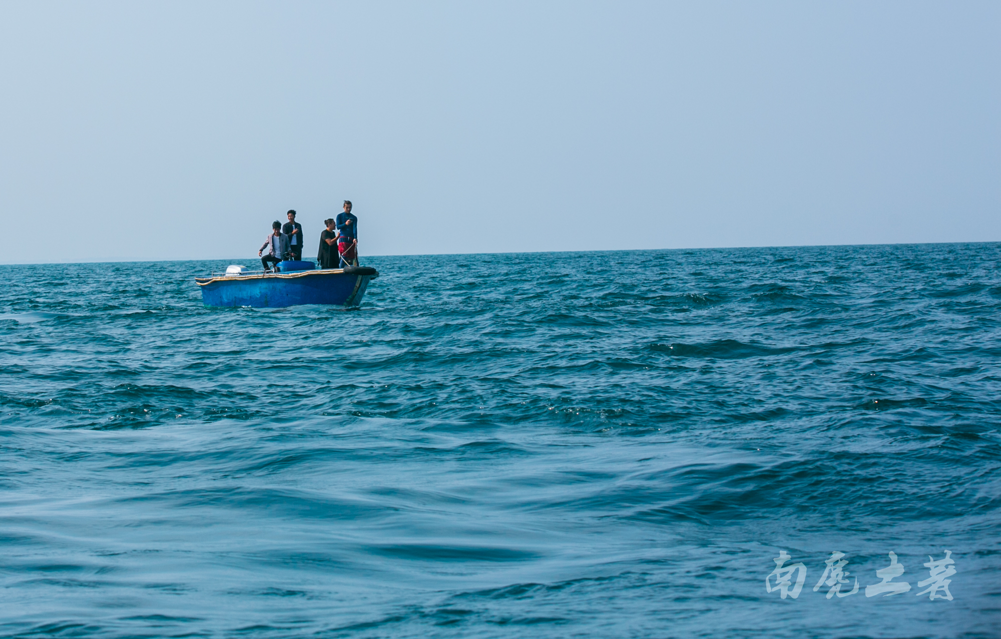 鎶栭煶缃戠孩椴搁奔,椴搁奔缃戠孩