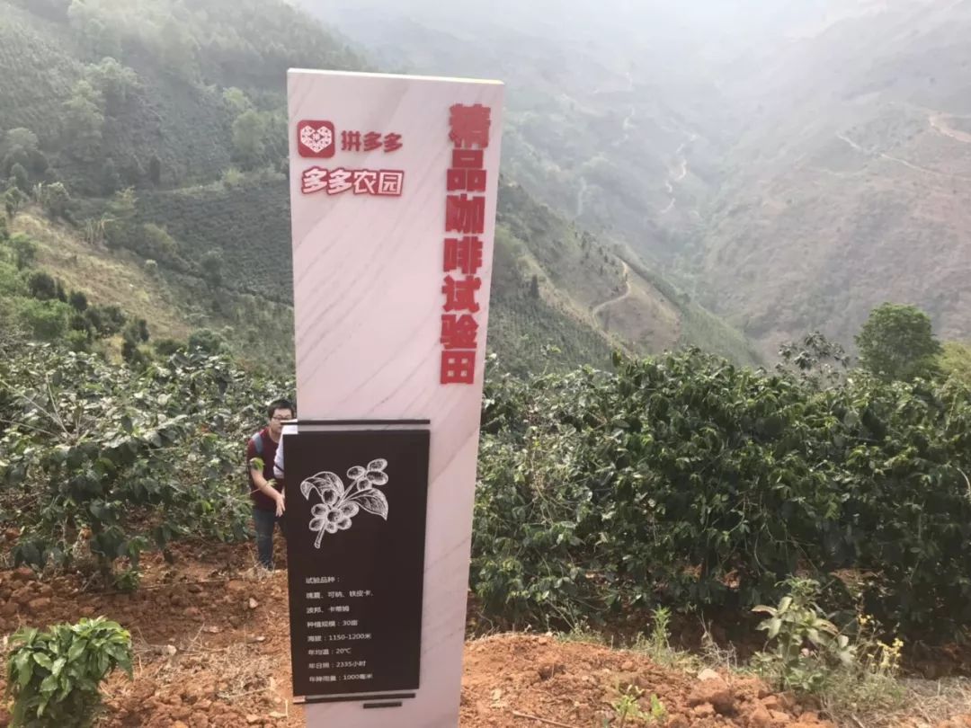 星巴克咖啡豆哪里卖,星巴克咖啡豆单卖的吗