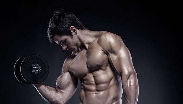增肌入门教学课程简介,增肌金字塔法则