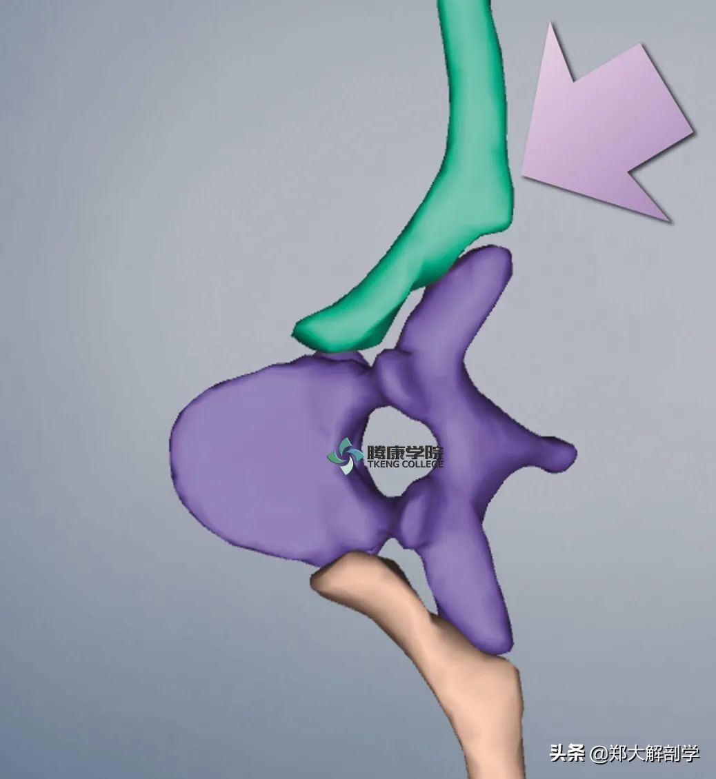 肋骨疼痛一招搞定,肋骨疼痛调理的中国手法