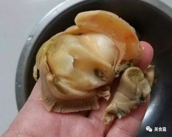 吃20斤海螺,吃20斤大海螺