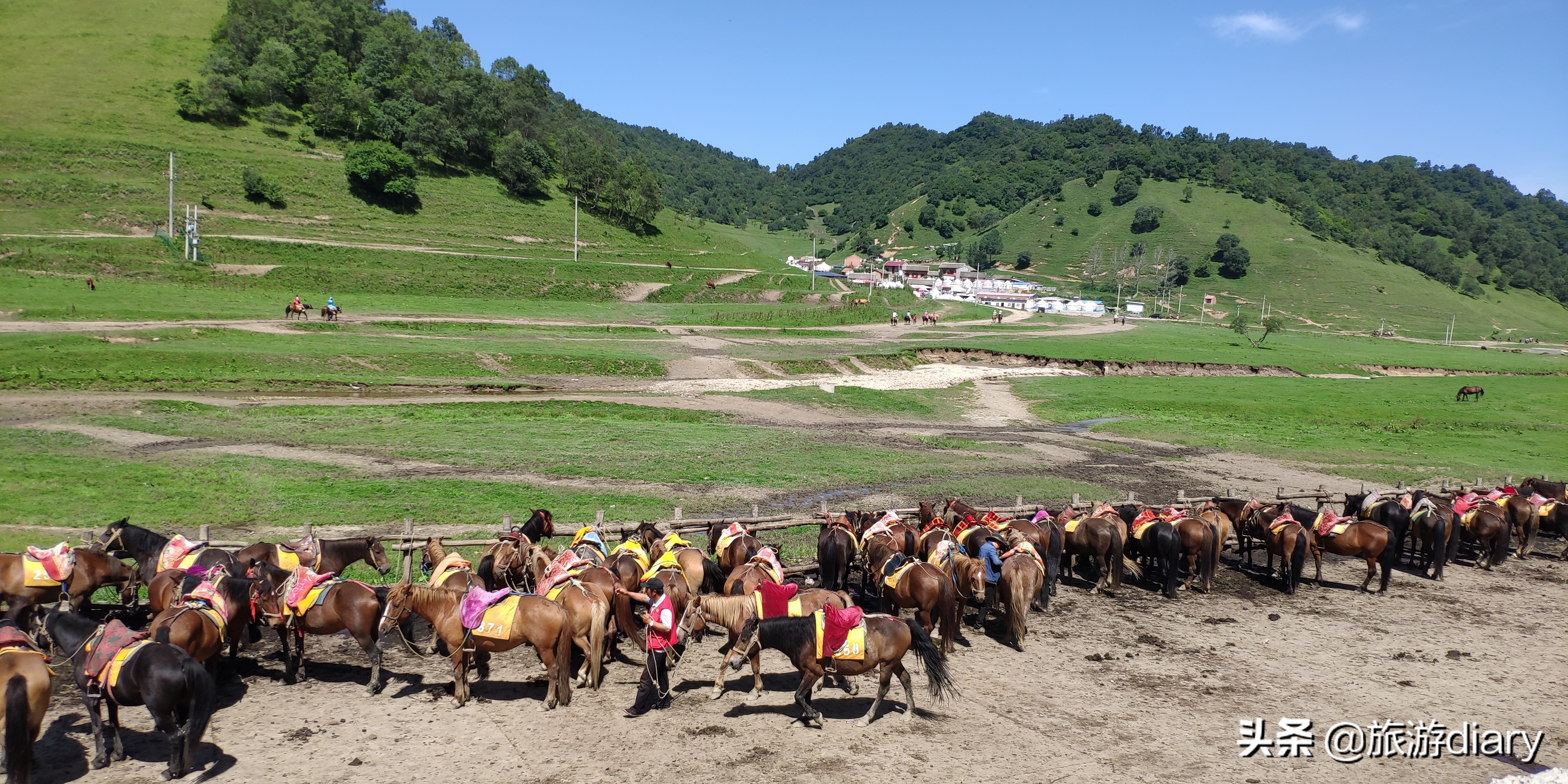 陕西宝鸡关山牧场，夏季避暑很凉快，但住宿一晚上千块到底值不值