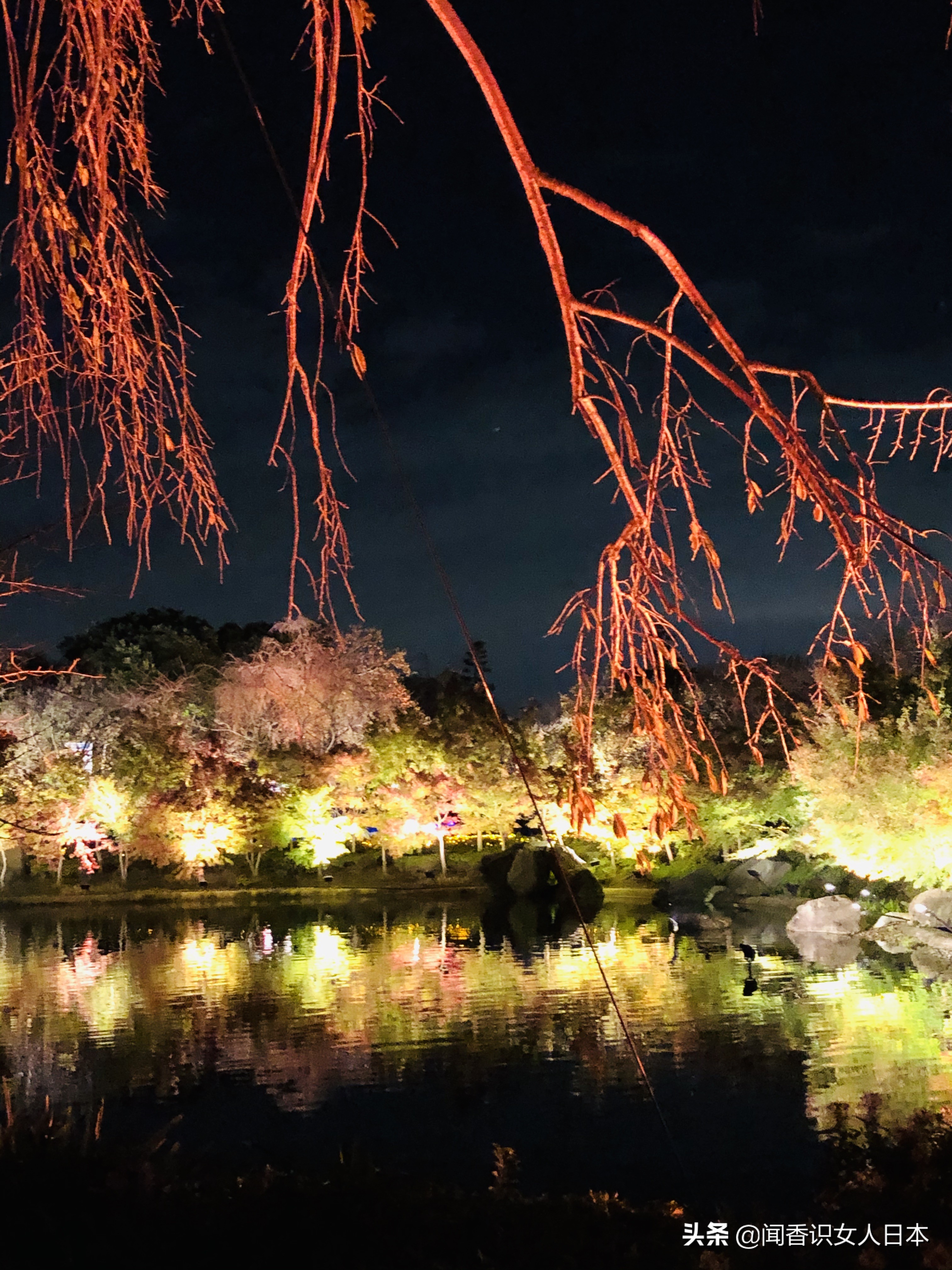 日本最美夜景,日本最美水上光影隧道