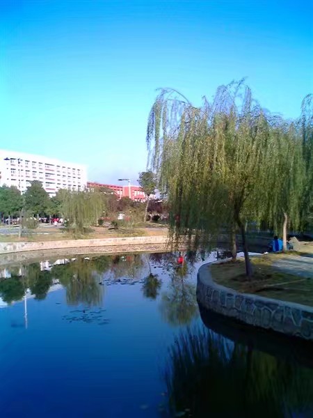 原油宝巨亏引发深思！中国的投资市场？金融理财的坑你掉过哪些？