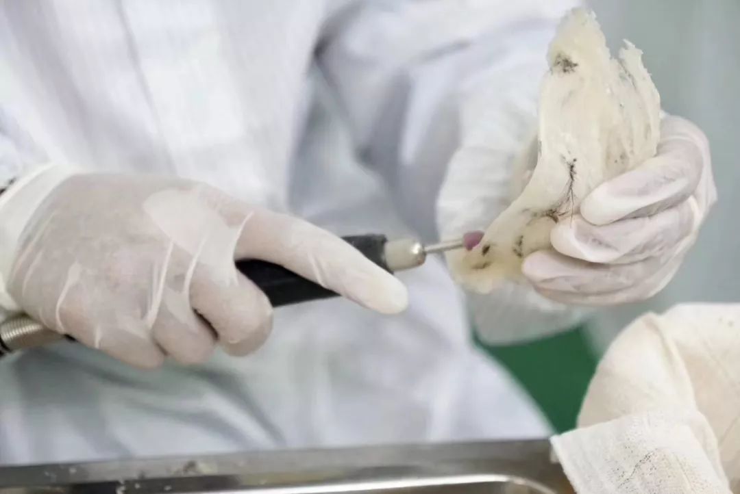 花式鲜炖燕窝推荐,花式鲜炖燕窝给你不一样味道