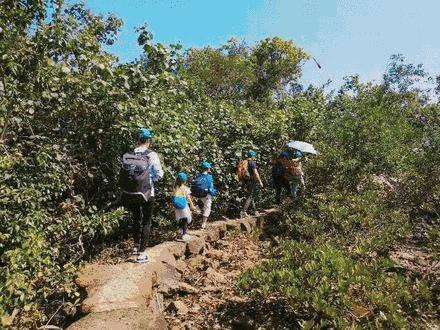 去长白山滑雪,去长白山还是去哈尔滨好
