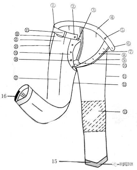 服装英语入门基础知识大全,服装百科小知识大全视频