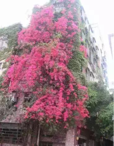 城市更新改造重点任务有几项,城市改造计划项目