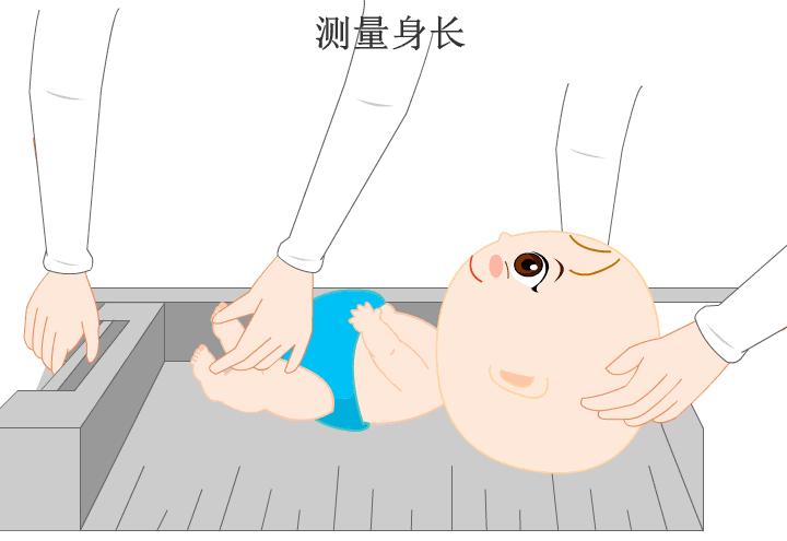 6个月的宝宝早教应该学啥,6个月内宝宝早教应该教什么