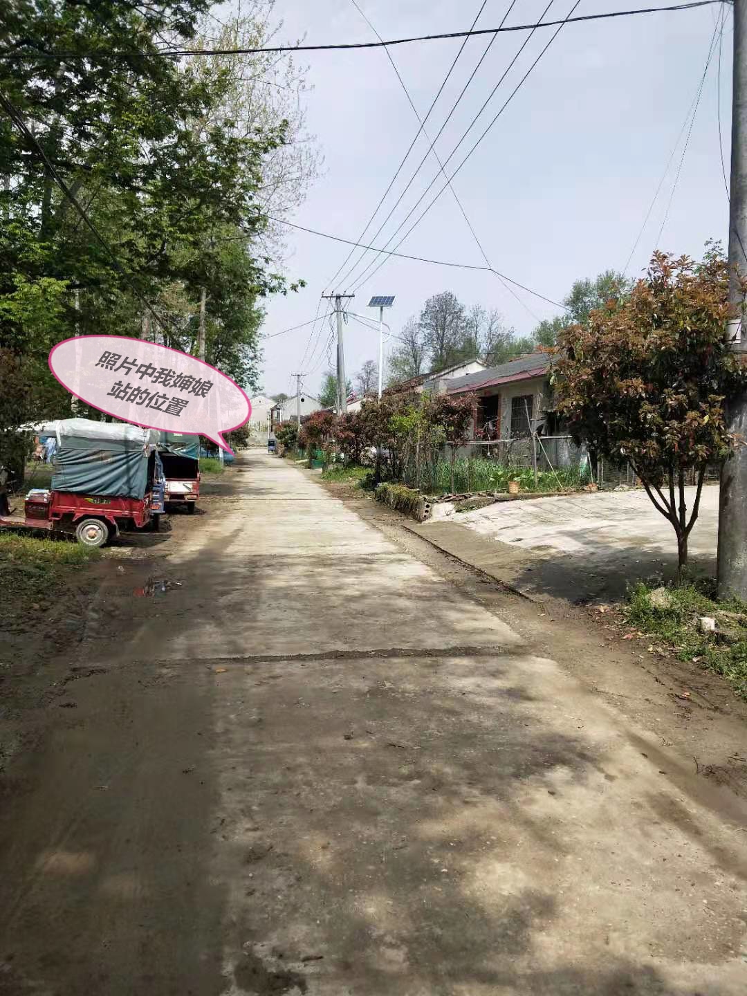 老家的水塘不如以前了,老家的水塘