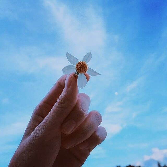 payitforward完整版,payitforward英语歌曲