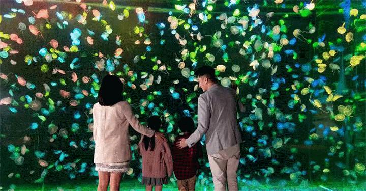 珠海长隆烟花灯光秀视频,今天珠海长隆烟花秀时间