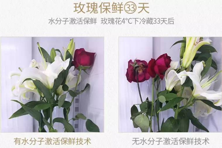 美菱506超薄嵌入式冰箱冻鲜生测评,美菱m鲜生冰箱评测视频