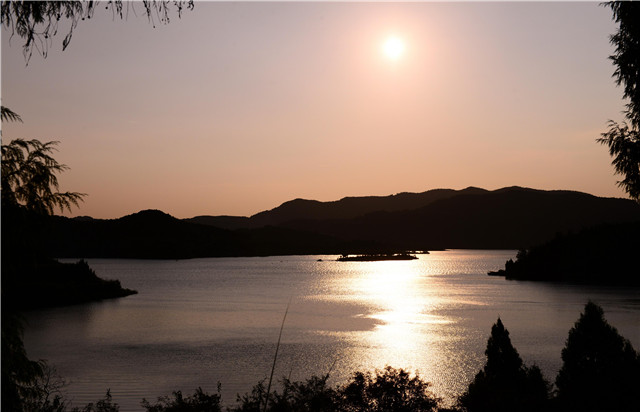 湖库野钓鲫鱼用什么饵料最好,堵塘钓鲫鱼用什么饵料