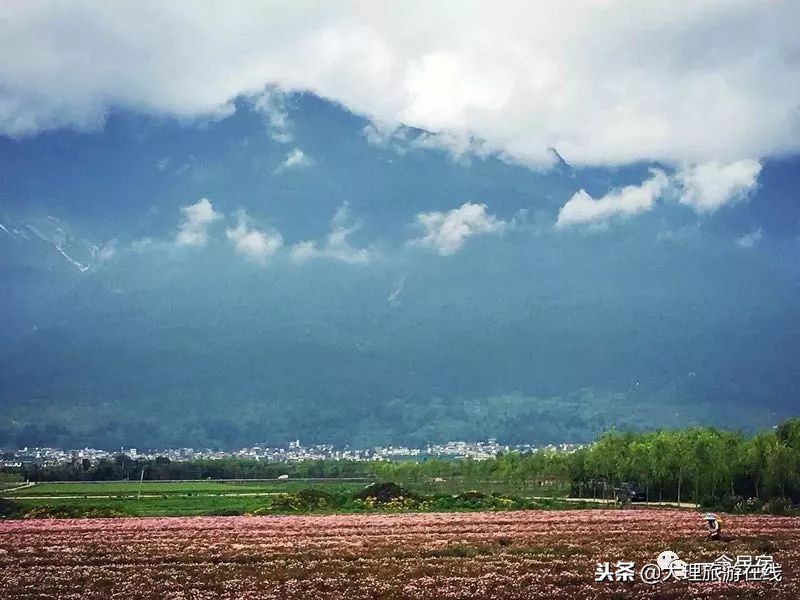 洱海深度游玩攻略,去洱海最该去哪个地方