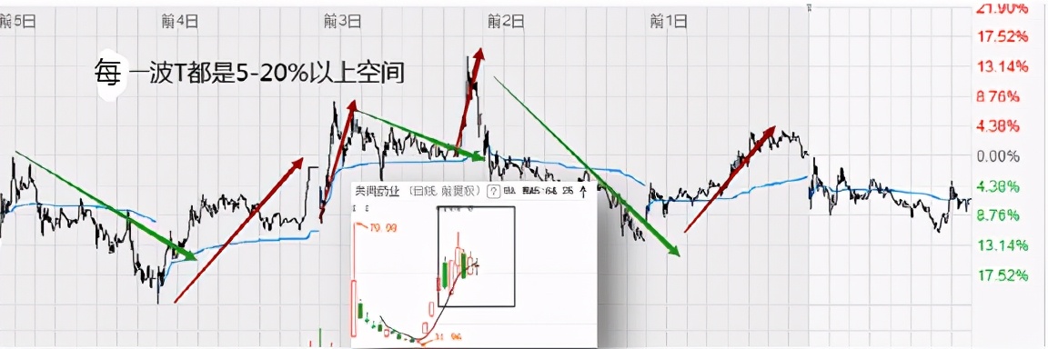 大热点爆发前的打地鼠行情，要像豹子般捕食，才不至于累死还亏钱