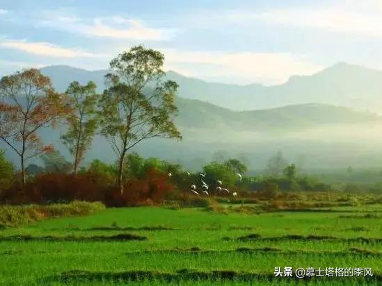 海南哪个地方适合养老价格还便宜,海南最适合的养老胜地