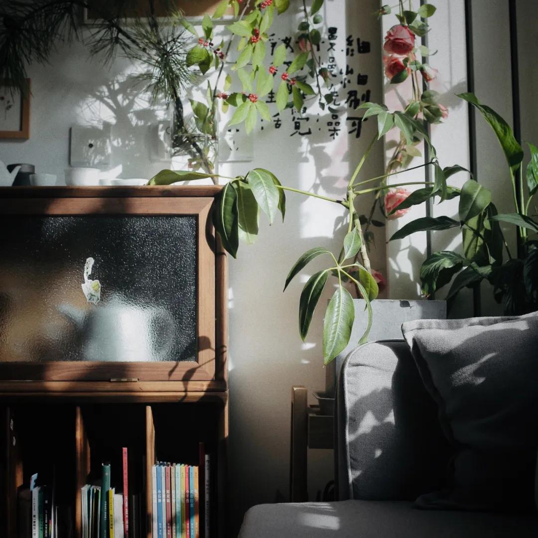 日式榻榻米茶室禅意设计,书房茶室一体多功能房榻榻米