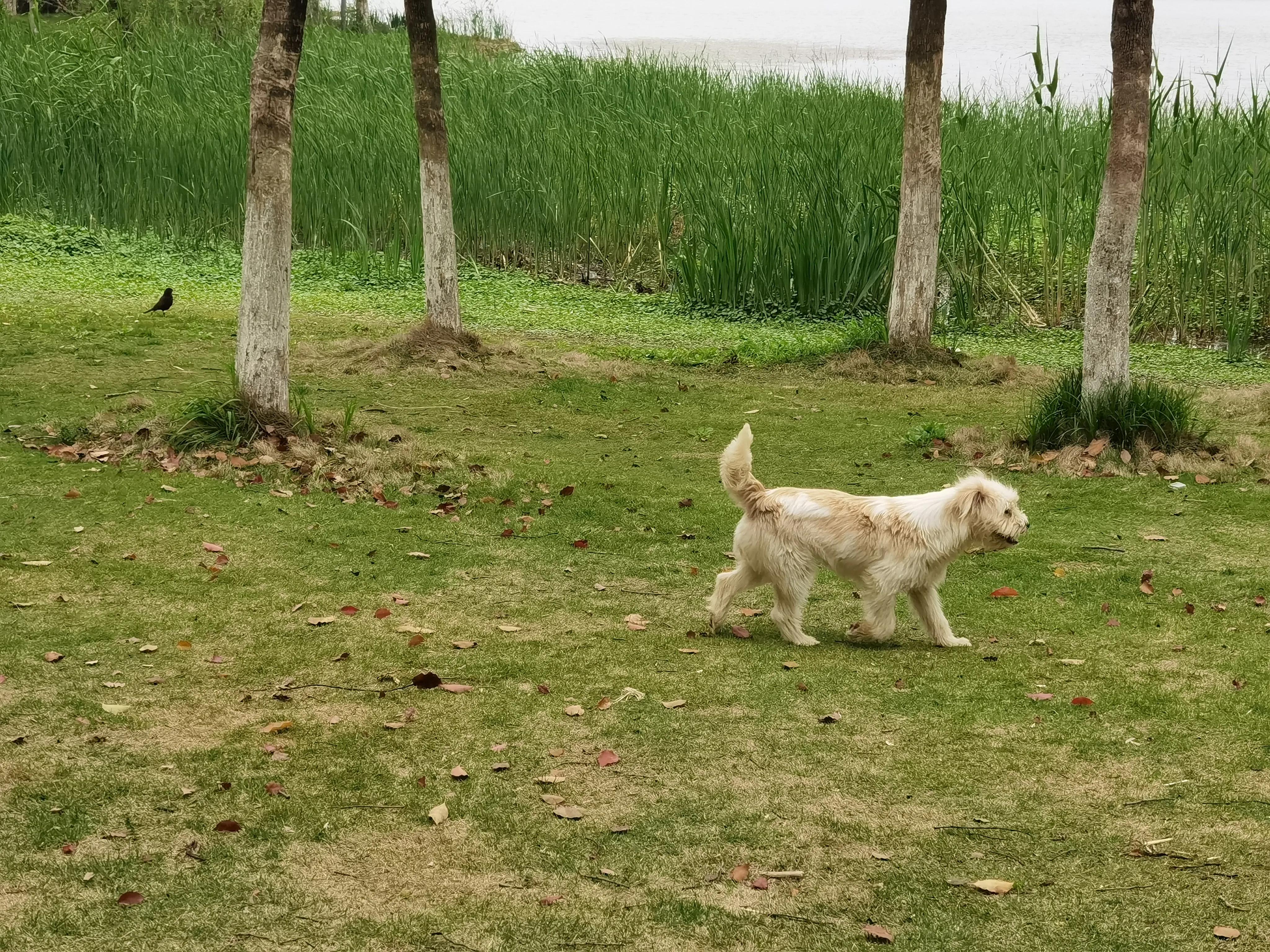 七绝吟春的诗句,七绝吟