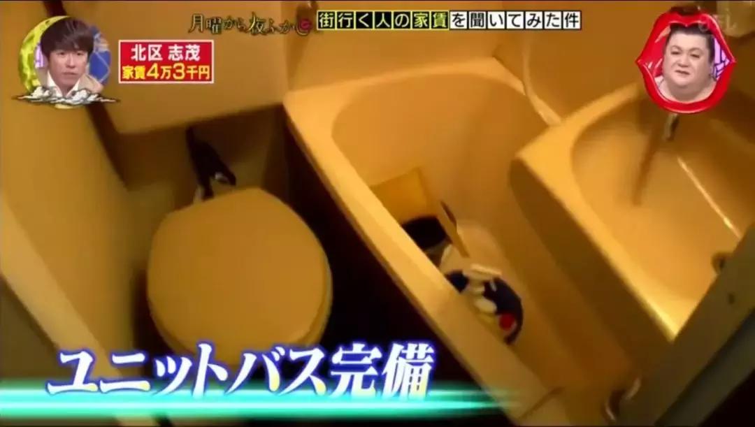 在日本穷人住别墅富人住公寓,日本的一户建真的是穷人住的吗