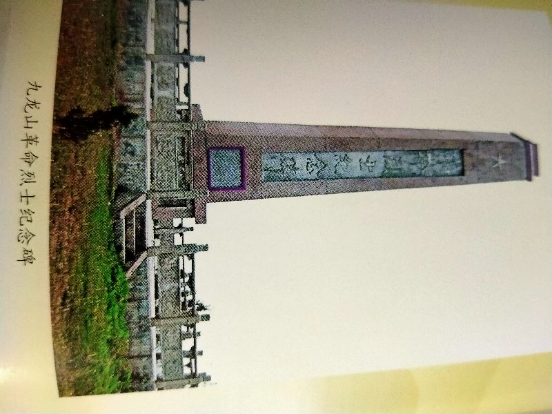 说说我的老家唐县镇