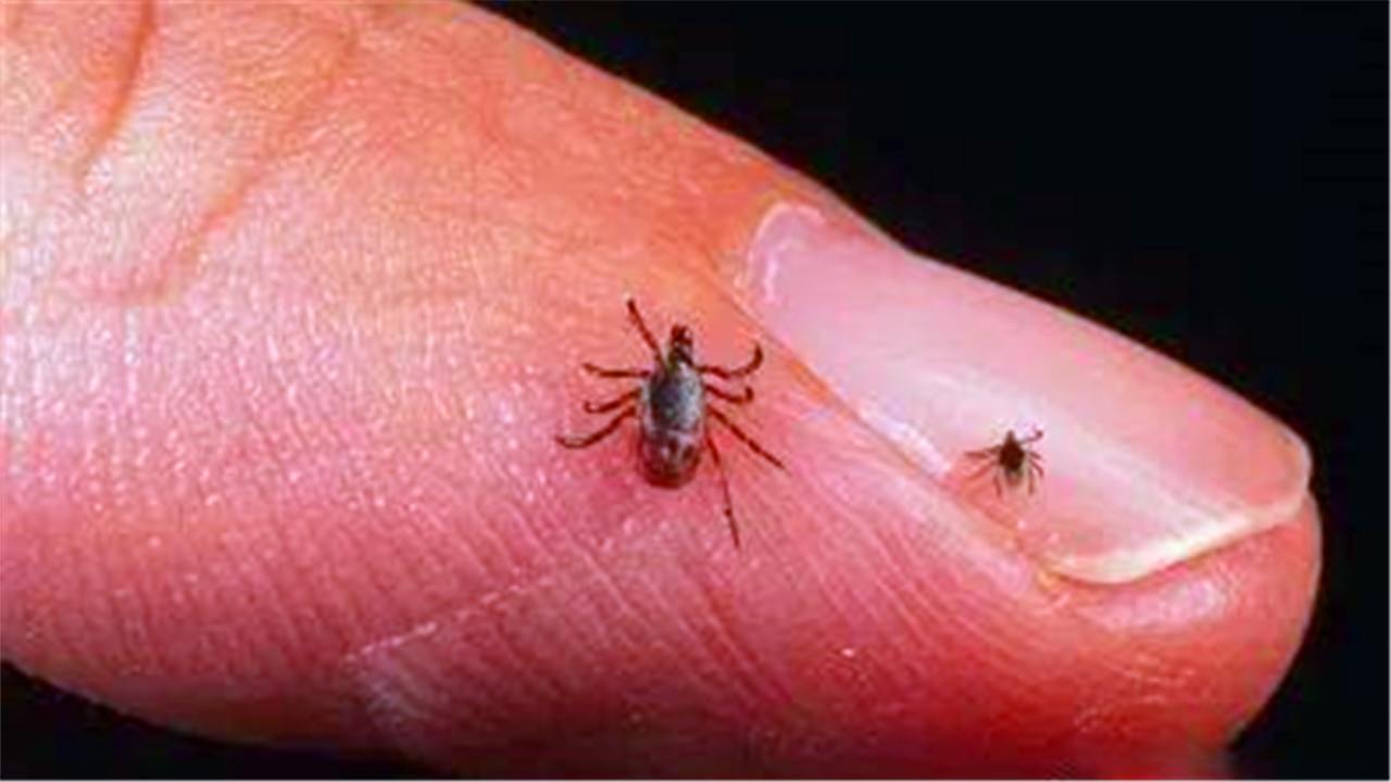 同人类祖先同时进化的人,人类进化了这么久为何还自相残杀