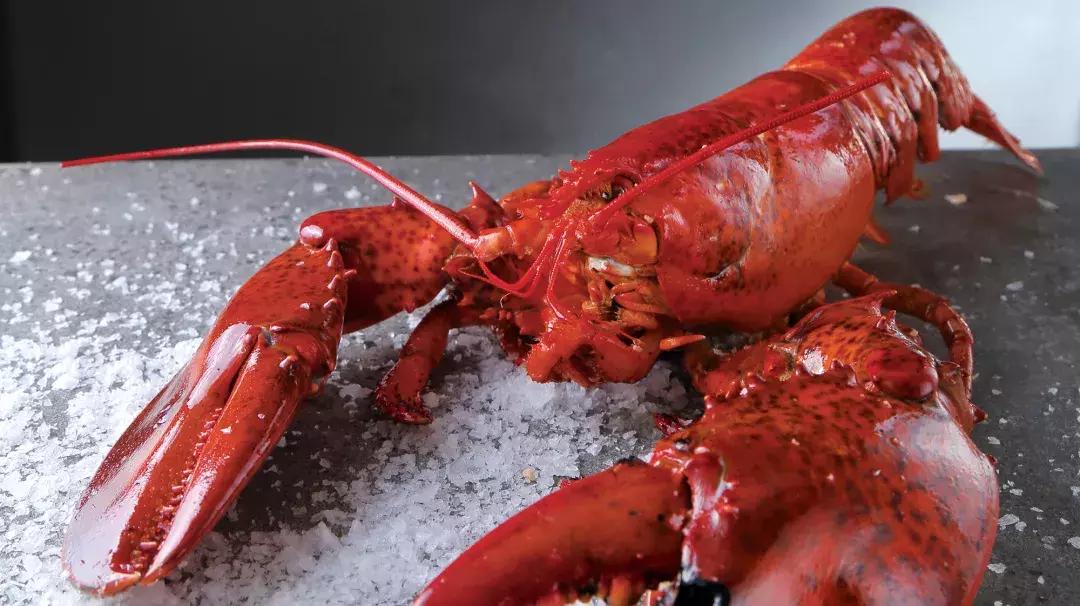 上海治愈系酒店,江浙森系治愈酒店