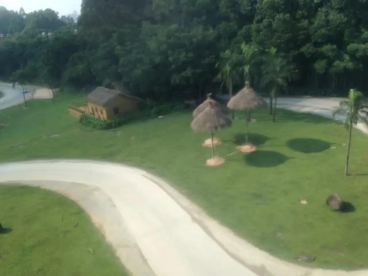 广州长隆野生动物世界游记300字,广州长隆野生动物园游记