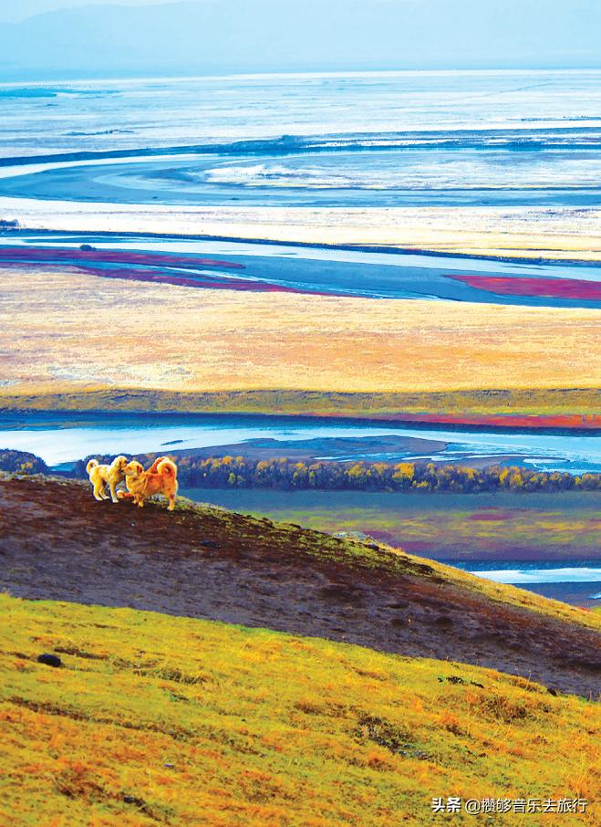 7月能去若尔盖,花湖若尔盖七月天气