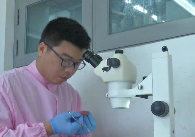 生猪跨省调运地方动检,动检员工