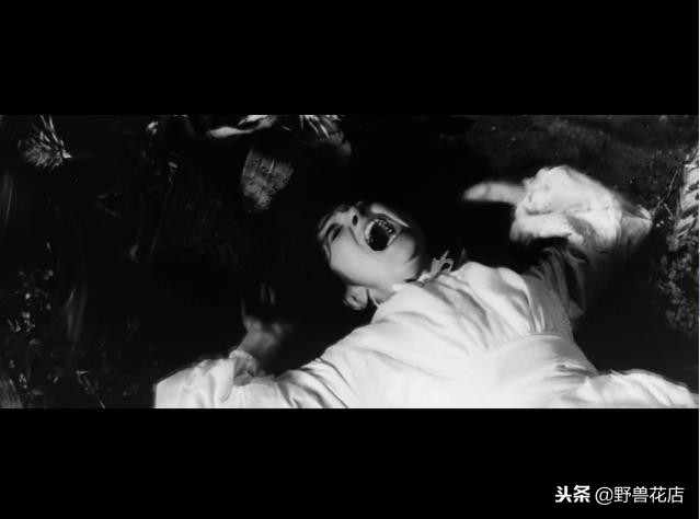 关于大象的经典电影,有关于大象的电影