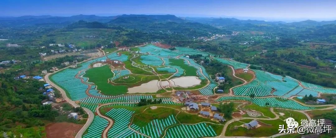 高坪区临江新区,高坪临江新区