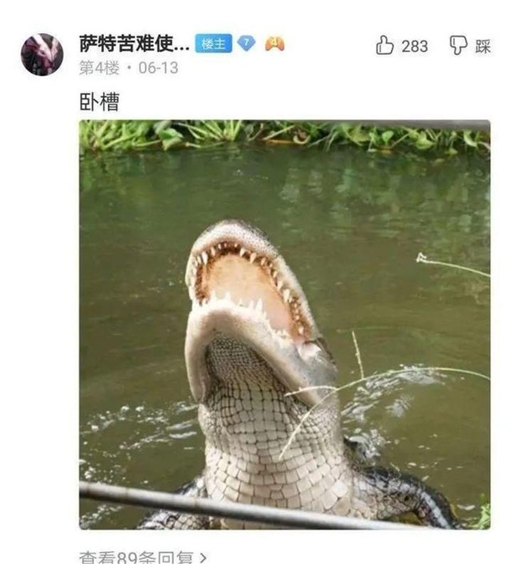 文能提竿安天下，武能执叉斗鳄鱼：鱼竿在手，万物皆有？