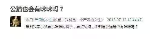 公猫可以有多个乳房吗,公猫也长乳房吗