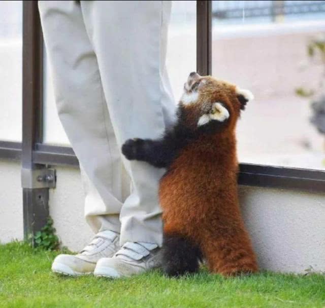 最奇葩的梦话是什么,你听说的最搞笑的梦话