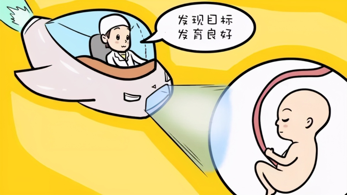 体检医学知识科普,体检检前b超科普视频