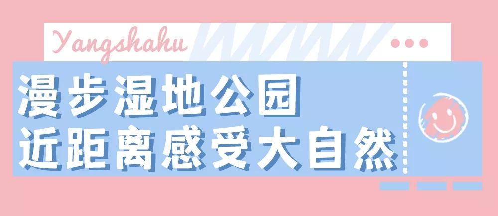 秋天的沙湖美不胜收,洋沙湖旅游