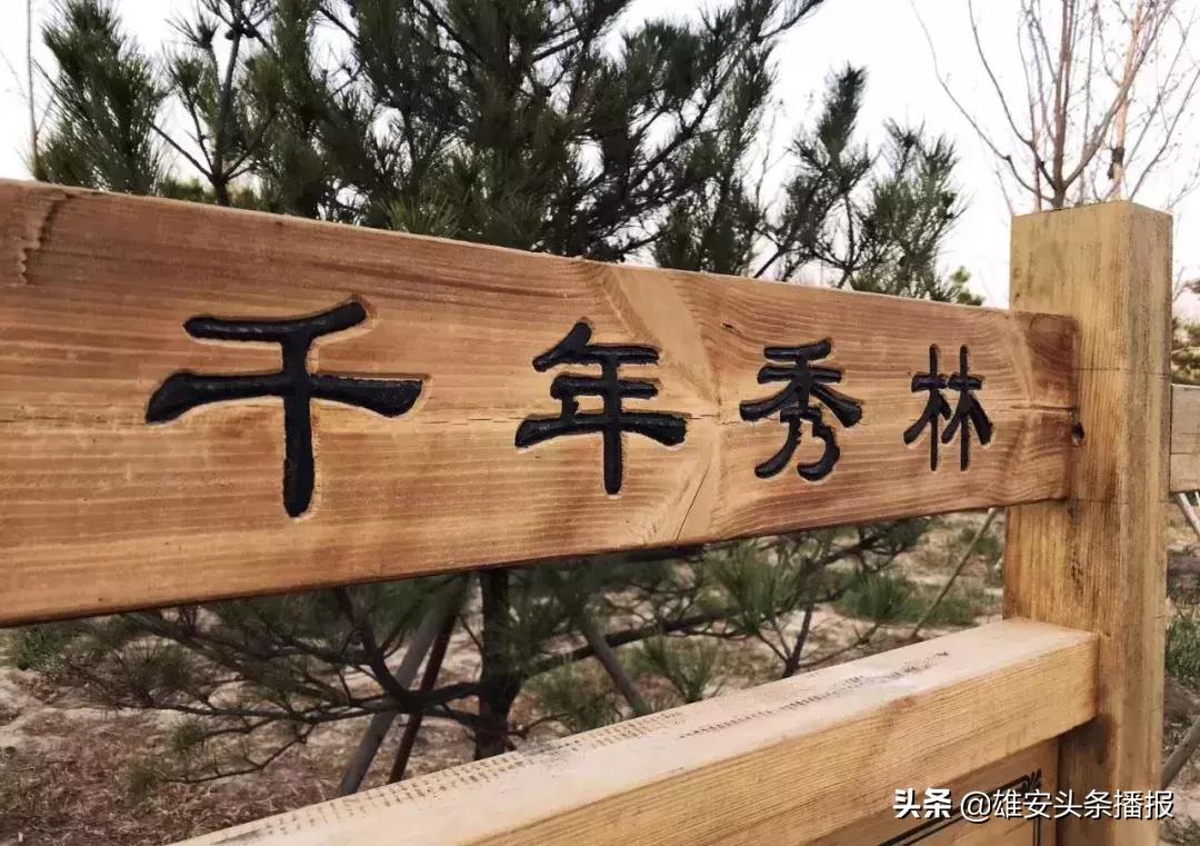 雄安值得一去吗,雄安最值得去的地方