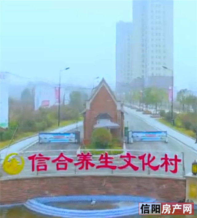 信合集团——扎根信阳的毛竹