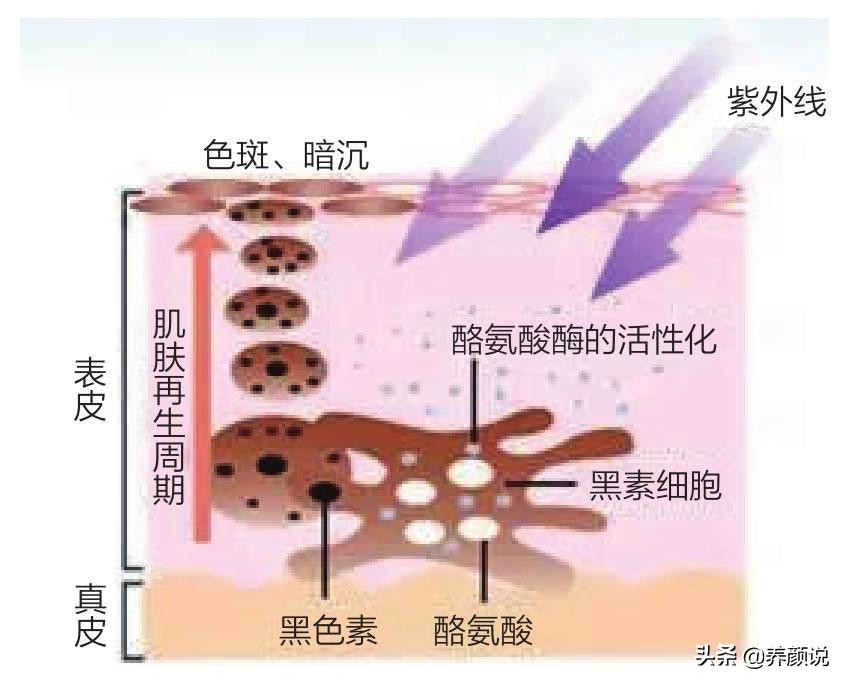 ​护肤品越用越多，肌肤状态急剧下滑，护肤品真的有效？