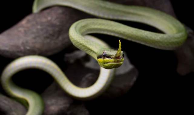 人类四种奇怪的恐惧症,人类可怕的十大恐惧症