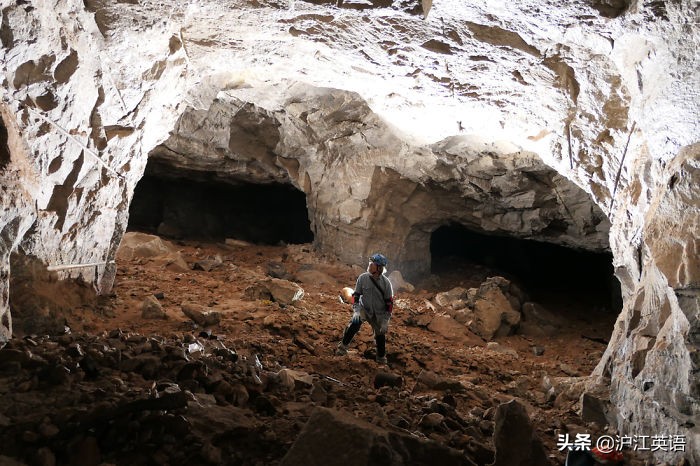 把5000块钱放进微波炉加热消毒，会发生什么？网友分享作死瞬间