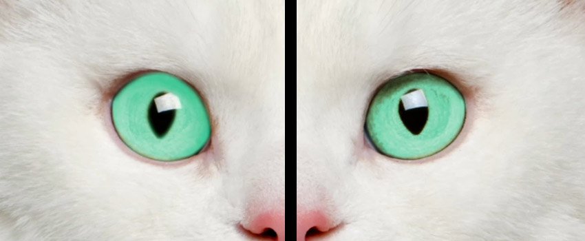 怎么在ps中更改照片底色,ps怎么改人的眼睛颜色