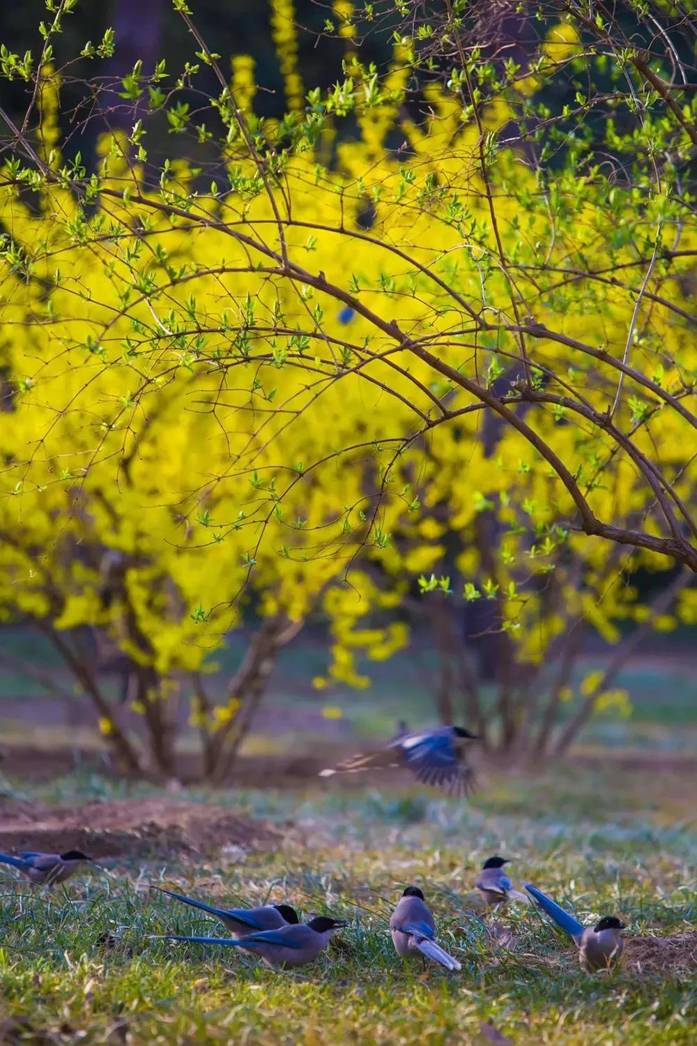 四月发生的事,东城发生的事