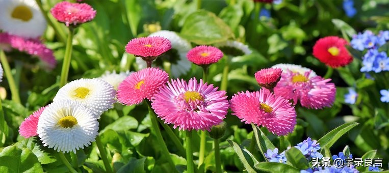 人生正能量的阳光短句句句精辟,正能量生活充满阳光的句子