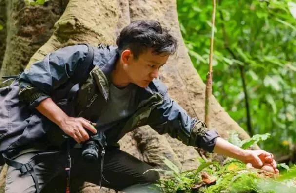 河南“水果猎人”走遍东南亚雨林,吃过600多种水果;月球上长出第一株绿芽,种子培育来自安阳丨大河早新闻