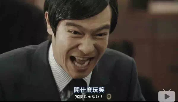 薛定谔的猫实测,欧拉白猫小野猫试驾