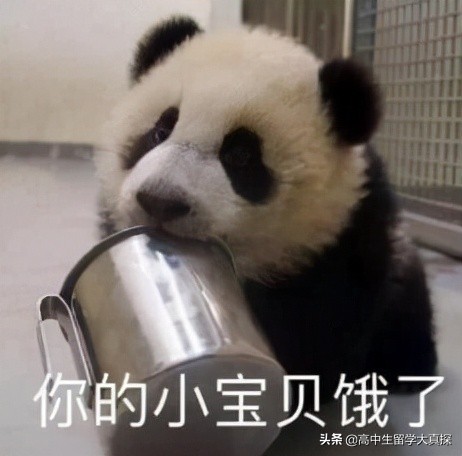 关于出国，这篇文章可能会*翻推**你的幻想