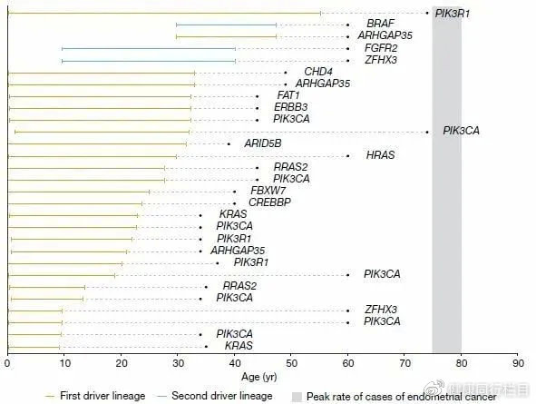 子宫内膜癌的防癌筛查,子宫内膜癌预防与筛查