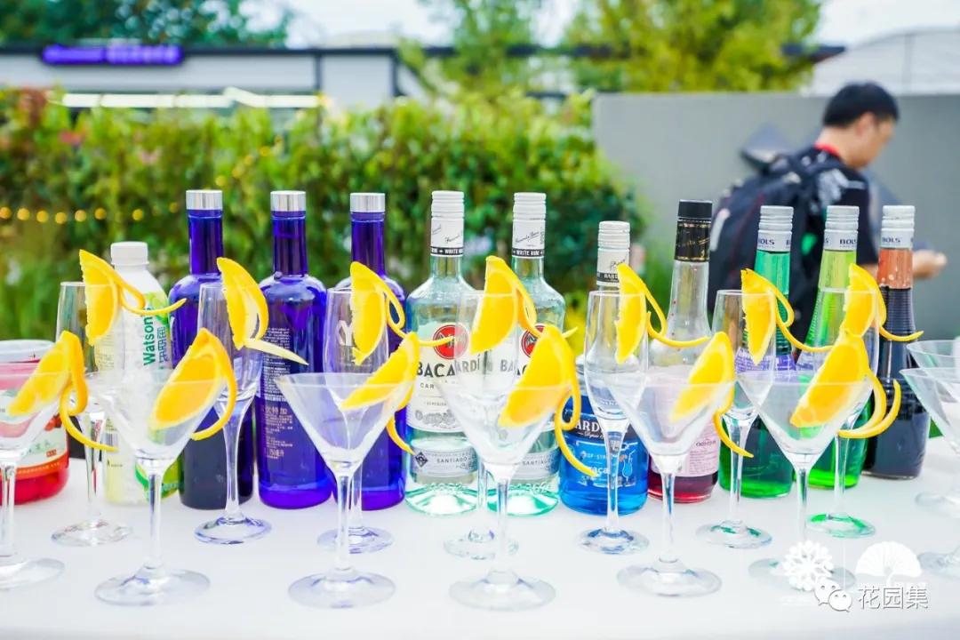 鑺卞洯鐩涘涔愯嚦,鑺卞洯鐩涘瀹屾暣